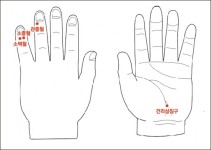 [재미로 풀어본 건강] 내 몸을 살리는 손 급소 자극법