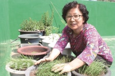 [건강피플] 도시농부 2인방의 집에서 텃밭 가꾸기