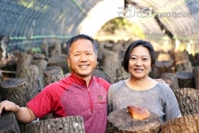 자연 속에서 본연의 맛과 향을 그대로, 갓속농장 표고버섯