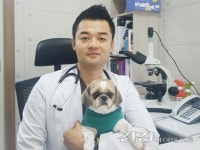 [반려동물건강] 강아지 다리 절뚝 증상, 슬개골탈구 초기 증상일수도