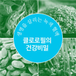 [슈퍼푸드 이야기] 생명을 살리는 녹색 혈액 클로로필의 건강비밀