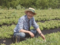 [건강피플] 천년초 연구에 20년 천년초 박사 이기영 교수