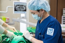 [덴탈플러스] 임플란트 치과 선택, 어떤 기준으로 선택해야 할까?