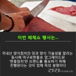 마구로한돌, 10월 26일 국내산 생참치 해체쇼 행사 실시