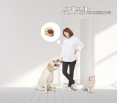 겨울철, 반려동물도 건강 관리가 필요해~ 어떤 질환을 조심해야 할까?