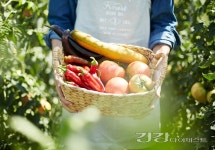 용산구, 임산부 432명에 친환경 농산물 지급