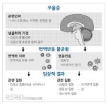 [면역 이야기] 면역력 올리는 특급비법 명상의 재발견