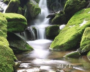 [물박사 워터맨의 물 이야기] 자연이 주는 물소리의 힘