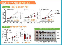 농진청 개발 기능성 검정콩 소만…항산화 효과 확인