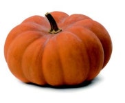 [건강한 한 입 DIY] 따뜻하게 기를 채우는 겨울맞이 보양식 늙은호박 들깨탕밥 DIY