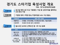 경기도 ‘스타기업’ 육성사업으로 글로벌 기업 도약