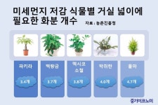 화분 3~5개면 실내 초미세먼지 20%↓