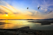 가을 매력에 푹 빠져볼 수 있는 섬으로의 여행