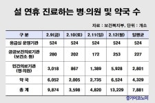 설 연휴 문 여는 병·의원, 약국 정보 확인하세요