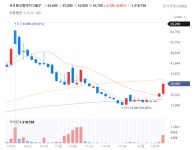 상장폐지 앞둔 코오롱모빌리티그룹 기대감 부각