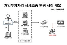 개인투자자, 13개 계좌로 5천여회 시세조종 주문