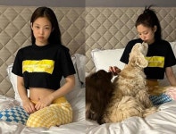 블랙핑크 제니 애기들이랑 딩굴딩굴 집에서도 요염한 집콕룩