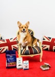 피쉬포독(Fish4Dogs) 사료, 영국 Queens Award 수상