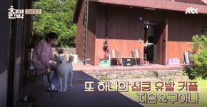 효리네 민박, 아이유 오뉴오뉴오뉴~ 구아나와 아쉬운 이별