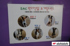 반려동물 용품부터 동물병원까지 한번에 해결...서종예 펫타운 탐방기