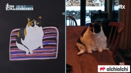 ‘효리네 민박2’, 동물을 사랑하는 ‘이 화백’ 소길리 문화센터 오픈