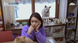 ‘효리네민박2’, 막내 미달이를 소개합니다