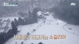 ‘효리네민박2’, 소길리 아웃사이더 고실이