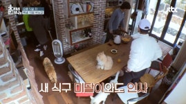 효리네민박2, 박보검 초밀착 아이컨택 당한 미미 심쿵