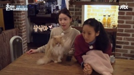 효리네민박2, 깜빡~깜빡~ 고양이 인사 나누는 윤아와 삼식이