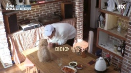 효리네민박2, 박보검 초밀착 아이컨택 당한 미미 심쿵