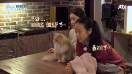효리네민박2, 깜빡~깜빡~ 고양이 인사 나누는 윤아와 삼식이