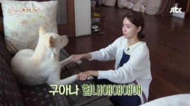 효리네민박2, 개판 된 효리네...개 완벽 빙의 효리