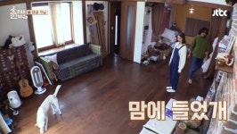 효리네민박2, 개판 된 효리네...개 완벽 빙의 효리