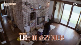 효리네민박2, 개판 된 효리네...개 완벽 빙의 효리