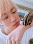 방탄소년단 진, 슈가글라이더 표정 따라 하기