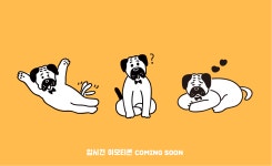 동물권행동 카라와 HSI, 입시견 차별 타파 공동 프로젝트 개시