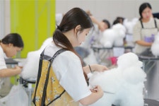 애견미용계 전문가들에게 배우는 서울종합예술실용학교(SAC) 애견미용 전공