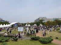 [올치올치 포토] 2019 제주 반려동물 페스티벌 개막