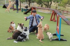 서울종합예술실용학교(SAC) 애견훈련 전공, 쾌적한 환경의 야외견사 증축