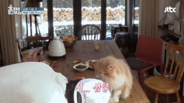 이효리 클라쓰, 우리 가족들 잘 지내요~