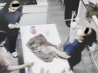 수술 끝난 강아지 얼굴에 탈취제 뿌리고 박장대소한 동물병원