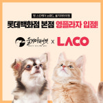 울지마마이펫, 롯데백화점 본점 영플라자 입점