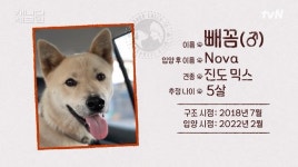 이효리 & 고인숙 개농장서 구조한 빼꼼이와 재회