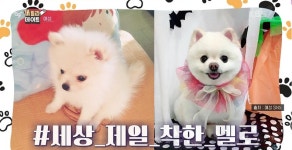 예성 눈물의 자작곡 우리의 시간 부를 수 있을까?