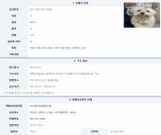 경기 부천 역곡 춘덕산 입구 공중화장실 부근서 발견된 말티즈