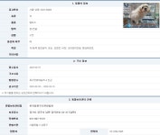 서울 성동구 독서당로59길 25-3 인근서 발견된 말티즈