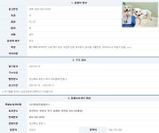 경북 포항 북구 새마을로7번길 6 부근서 발견된 믹스견