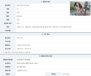 서울 강북구 수유동 광산사거리 일대서 발견된 비글