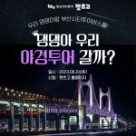댕댕아! 우리 야경투어 갈까? 부산시티투어