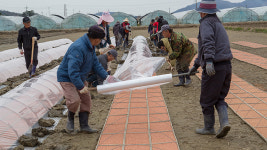 밥 한 그릇